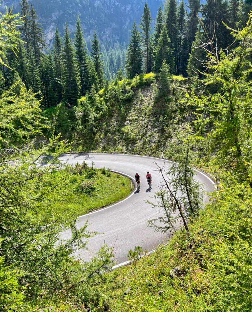 Two male cyclists ride bikes on a road through lush larch forests on the climb to Passo Giau. Cycling Passo Giau near Cortina d'Ampezzo in Italy's Dolomites mountains is a rite of passage for road cyclists around the world. Ride Passo di Giau with Alter Exploration on upcoming Secret Dolomites cycling tours.